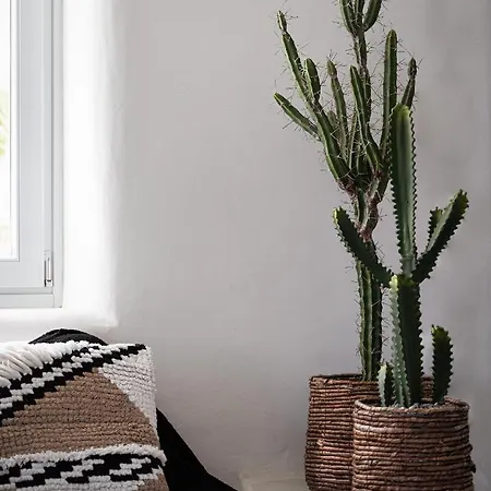 El Sueno Mykonos Kalafatis