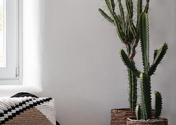 El Sueno Mykonos Kalafati